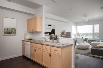 Large windows